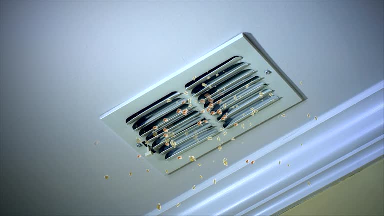 Best Ductwork Cleaning Services  in Geneva, AL