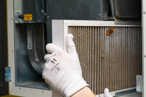 Best Local Air Duct Cleaning Services  in Geneva, AL