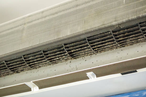 Best Commercial Air Duct Cleaning  in Geneva, AL