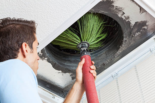 Best Emergency Air Duct Cleaning  in Geneva, AL